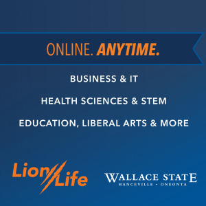 Wallace_Lion-Life-23_Carousel_WS-Online_Slide3
